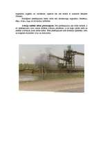 Referāts 'Ekoloģiskās problēmas', 7.