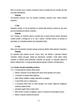 Referāts 'Bērnu drošība. Vardarbība pret bērnu. Palīdzības pamatprincipi vardarbībā cietuš', 23.