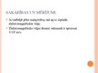 Prezentācija 'Elektromagnētisko viļņu īpašības un pielietojums', 7.