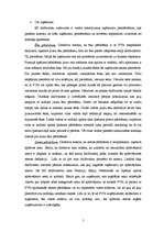 Referāts 'Pievienotās vērtības nodoklis', 5.