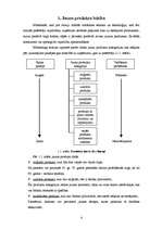 Referāts 'Jaunu produktu veidošana un ieviešana tirgū', 4.