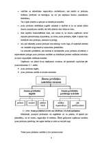 Referāts 'Jaunu produktu veidošana un ieviešana tirgū', 6.