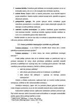 Referāts 'Jaunu produktu veidošana un ieviešana tirgū', 13.