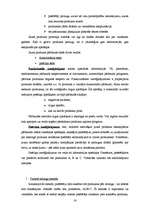 Referāts 'Jaunu produktu veidošana un ieviešana tirgū', 16.