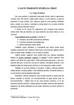 Referāts 'Jaunu produktu veidošana un ieviešana tirgū', 18.