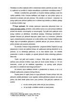 Referāts 'Jaunu produktu veidošana un ieviešana tirgū', 21.