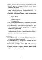 Referāts 'Jaunu produktu veidošana un ieviešana tirgū', 29.