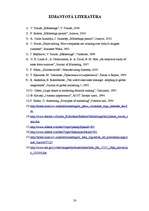 Referāts 'Jaunu produktu veidošana un ieviešana tirgū', 30.