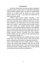 Referāts 'Politiskie režīmi un to salīdzinājums', 10.