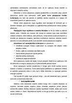 Konspekts 'Starptautiskie ekonomiskie sakari', 18.