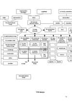 Konspekts 'Starptautiskie ekonomiskie sakari', 73.