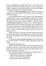 Konspekts 'Starptautiskie ekonomiskie sakari', 89.