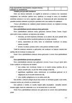 Konspekts 'Starptautiskie ekonomiskie sakari', 118.