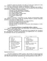 Referāts 'Cilvēku resursu izmantošana SIA "X"', 6.