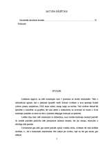 Referāts 'Smadzeņu asimetrijas ietekme uz cilvēka organisma īpatnībām', 2.