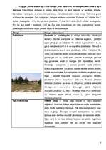 Referāts 'Liepājas pilsētvides ekosistēmu novērtējums', 6.