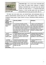 Referāts 'Liepājas pilsētvides ekosistēmu novērtējums', 7.