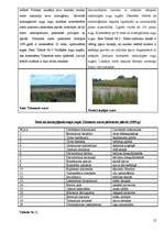 Referāts 'Liepājas pilsētvides ekosistēmu novērtējums', 12.