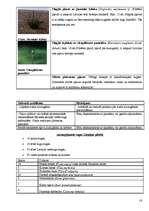 Referāts 'Liepājas pilsētvides ekosistēmu novērtējums', 16.