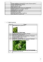 Referāts 'Liepājas pilsētvides ekosistēmu novērtējums', 17.