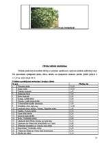 Referāts 'Liepājas pilsētvides ekosistēmu novērtējums', 18.