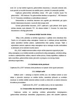 Prakses atskaite 'Prakses atskaite finanšu grāmatvedībā', 10.