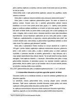 Prakses atskaite 'Prakses atskaite finanšu grāmatvedībā', 12.