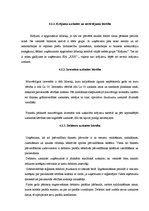 Prakses atskaite 'Prakses atskaite finanšu grāmatvedībā', 17.