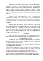 Prakses atskaite 'Prakses atskaite finanšu grāmatvedībā', 19.