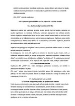 Prakses atskaite 'Prakses atskaite finanšu grāmatvedībā', 22.