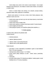 Prakses atskaite 'Prakses atskaite finanšu grāmatvedībā', 28.