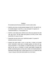 Referāts 'Statistiska datu apstrāde Nītaures pils novadam, izmantojot 1638.gada Vidzemes a', 7.