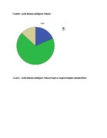 Referāts 'Statistiska datu apstrāde Nītaures pils novadam, izmantojot 1638.gada Vidzemes a', 9.