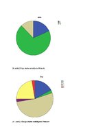 Referāts 'Statistiska datu apstrāde Nītaures pils novadam, izmantojot 1638.gada Vidzemes a', 10.