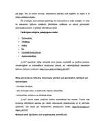 Referāts 'Nekustamā īpašuma firmas "Latio" analīze', 4.