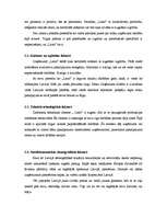 Referāts 'Nekustamā īpašuma firmas "Latio" analīze', 9.