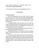 Referāts 'Nekustamā īpašuma firmas "Latio" analīze', 13.