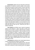 Eseja 'Pārdevēja tēls veikalā', 2.