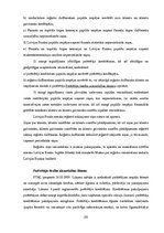 Referāts 'SIA "ExpressCredit" vadīšanas funkciju analīze', 28.