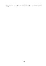 Referāts 'SIA "ExpressCredit" vadīšanas funkciju analīze', 29.