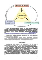 Referāts 'Tromboze, tās veidi', 5.