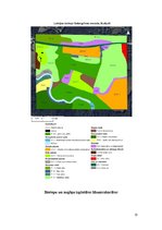 Prakses atskaite 'Latvijas augsnes un dzīvā daba', 13.