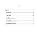 Referāts 'Koka sijas aprēķins Lira programmatūrā', 2.