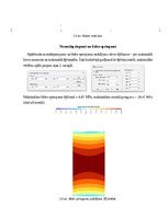 Referāts 'Koka sijas aprēķins Lira programmatūrā', 6.