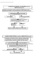 Konspekts 'Krimināltiesības shēmās', 11.