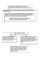 Konspekts 'Krimināltiesības shēmās', 19.