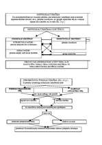 Konspekts 'Krimināltiesības shēmās', 25.