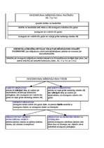 Konspekts 'Krimināltiesības shēmās', 32.