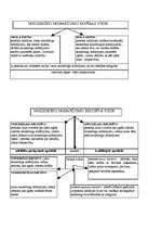 Konspekts 'Krimināltiesības shēmās', 43.