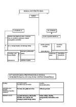 Konspekts 'Krimināltiesības shēmās', 51.